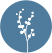 home icon 1