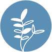 home icon 2