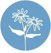 home icon 3
