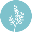 home icon 6