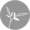 home icon 7